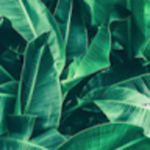 Meet your Posher, Céline